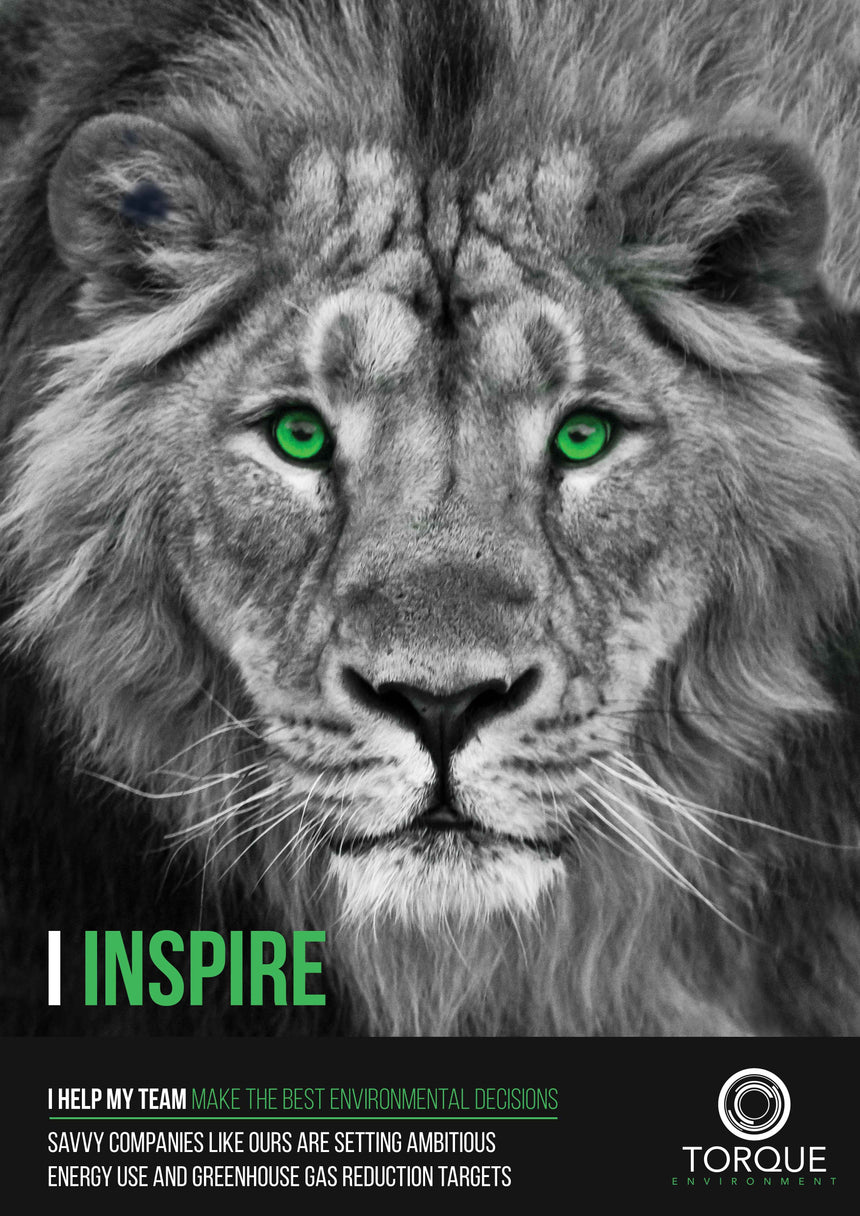 A3 I Inspire Poster #10